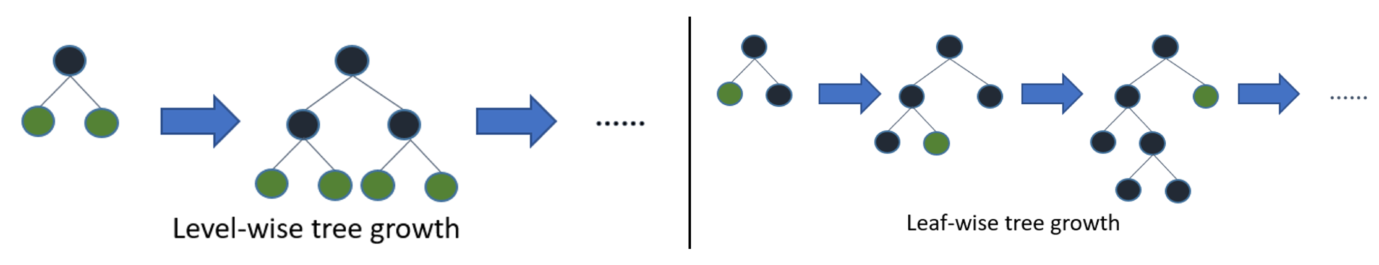 LightGBM Tree Growth